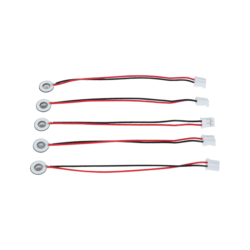 Miniaturized Products Φ8mm Inhalable Medical Mesh Misting Tray parvam Atomization Humidificatio Cum Misting Tray odorata Misting Tray