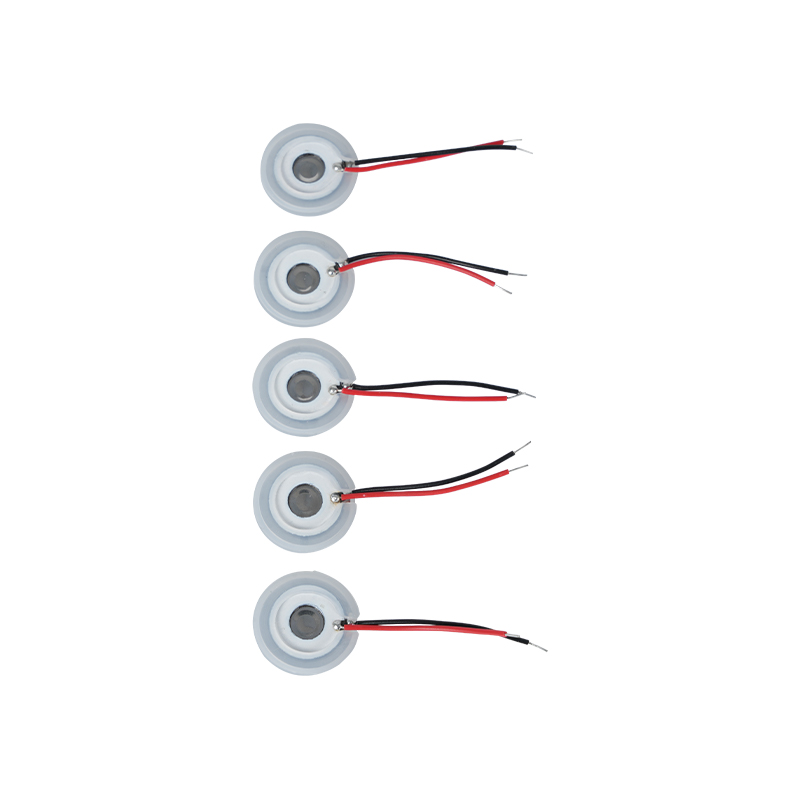 Steel Mesh Ultrasonic Fogging SheetAroma Essentiale Oleum HumidificationMicroporous Fogging Tray16-110KHZ SPARSIO SheetHole Spraying SheetMesh Mesh Fogging Tray