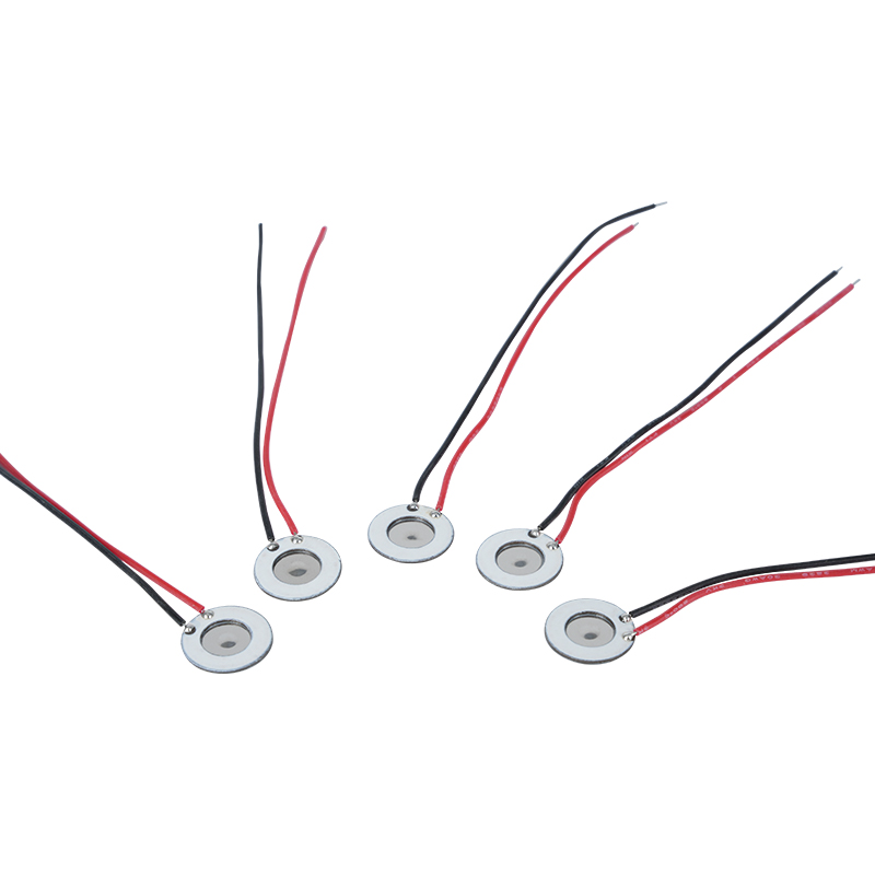 10mm Steel Microporous Atomizer Pulchritudo Hydration Instrument Oral Spray Unguentum Spray Humidificatio Disinfection Mesh Atomizer Item applicatur ad Electronic fumigans Cessatio Fabrica Et Alia Products