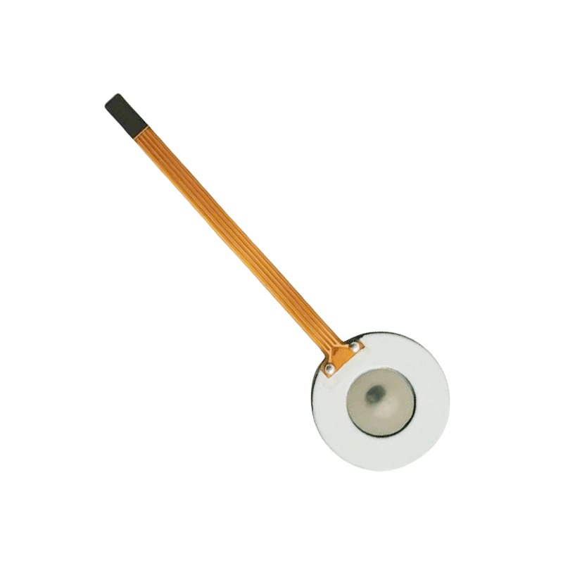 Polymer PI Film Piezo Atomizer adiuvat innovare munus atomizationis callidi domestici machinae